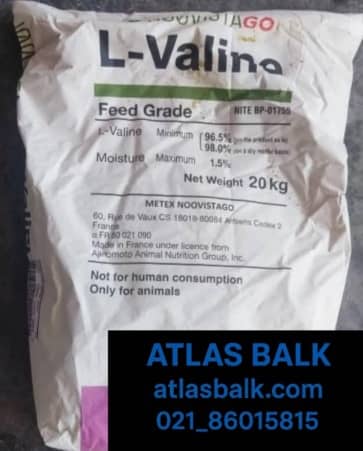 ال والین دام و طیور